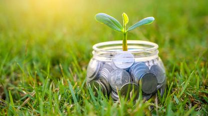 jar of coins with plant growing out of it